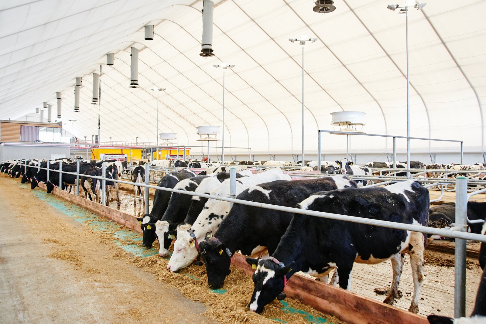 Livestock & Animal Farming
